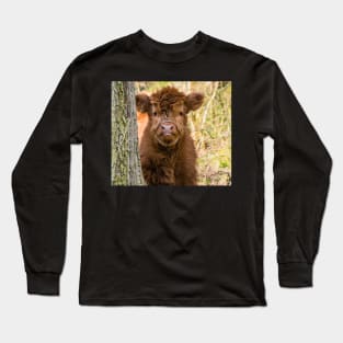 Scottish highland cow calf Long Sleeve T-Shirt